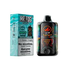 Mr Fog AURA - Mento Mint