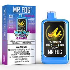 Mr Fog NOVA - Blue Razz Steezy Grape