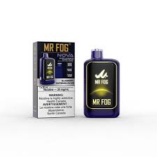 Mr Fog NOVA - Blueberry Watermelon Ice - Nicotine Free