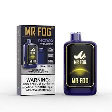 Mr Fog NOVA - Blueberry Watermelon Ice